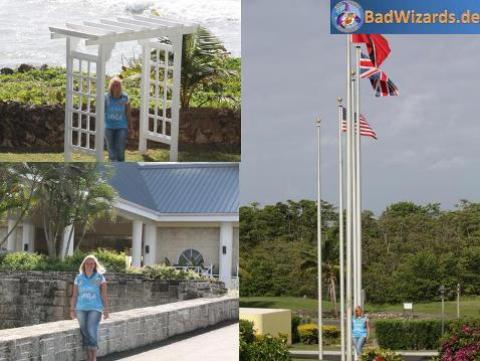 GIANTS in T&T GIANTS in T&T
